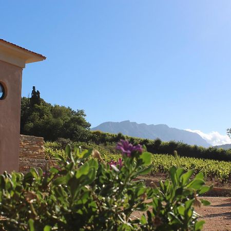 La Bastide - Le Grenache - Le Syrah Au Domaine Chateau Henri Bonnaud Le Tholonet Exterior photo