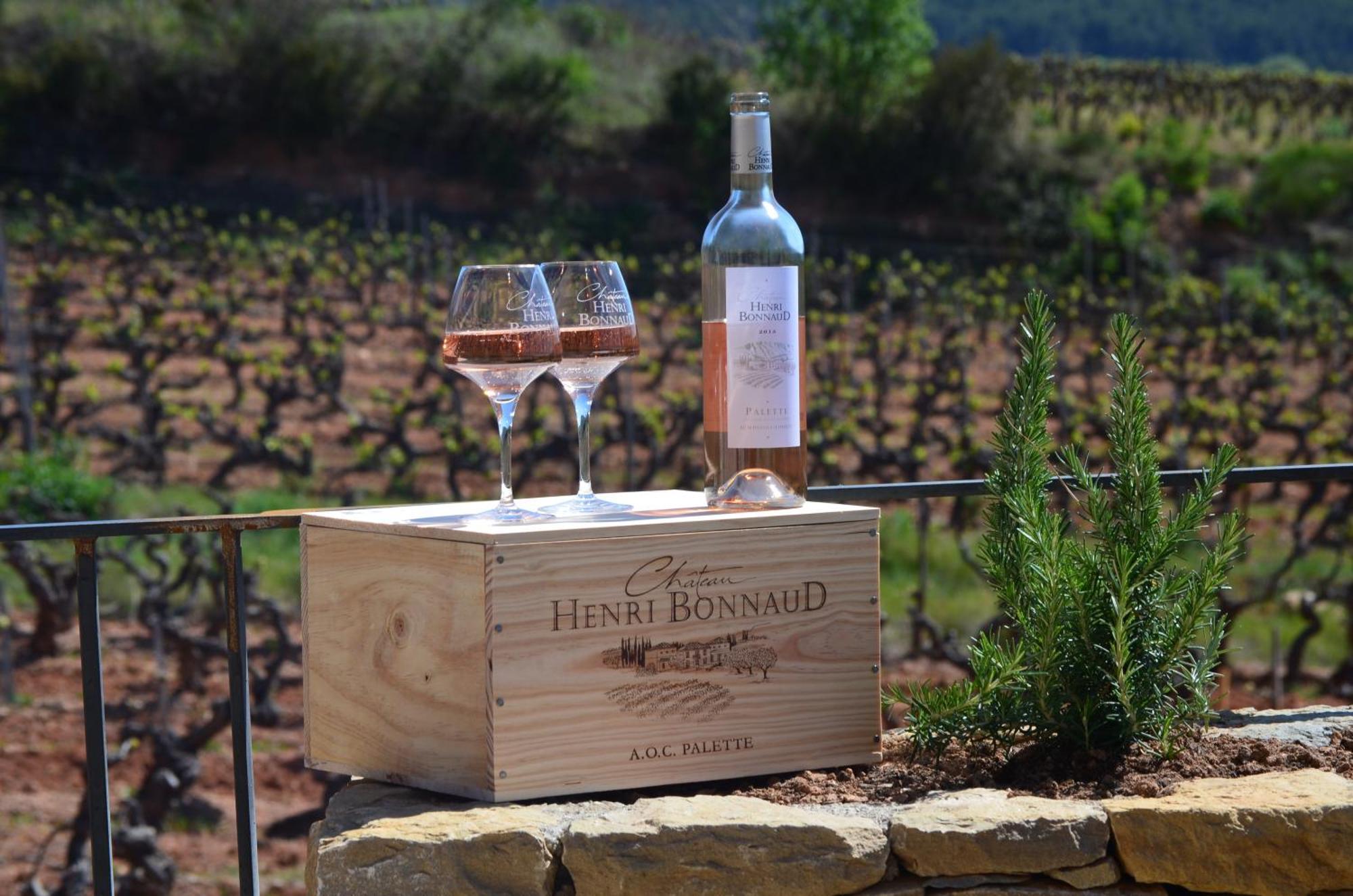 La Bastide - Le Grenache - Le Syrah Au Domaine Chateau Henri Bonnaud Le Tholonet Exterior photo