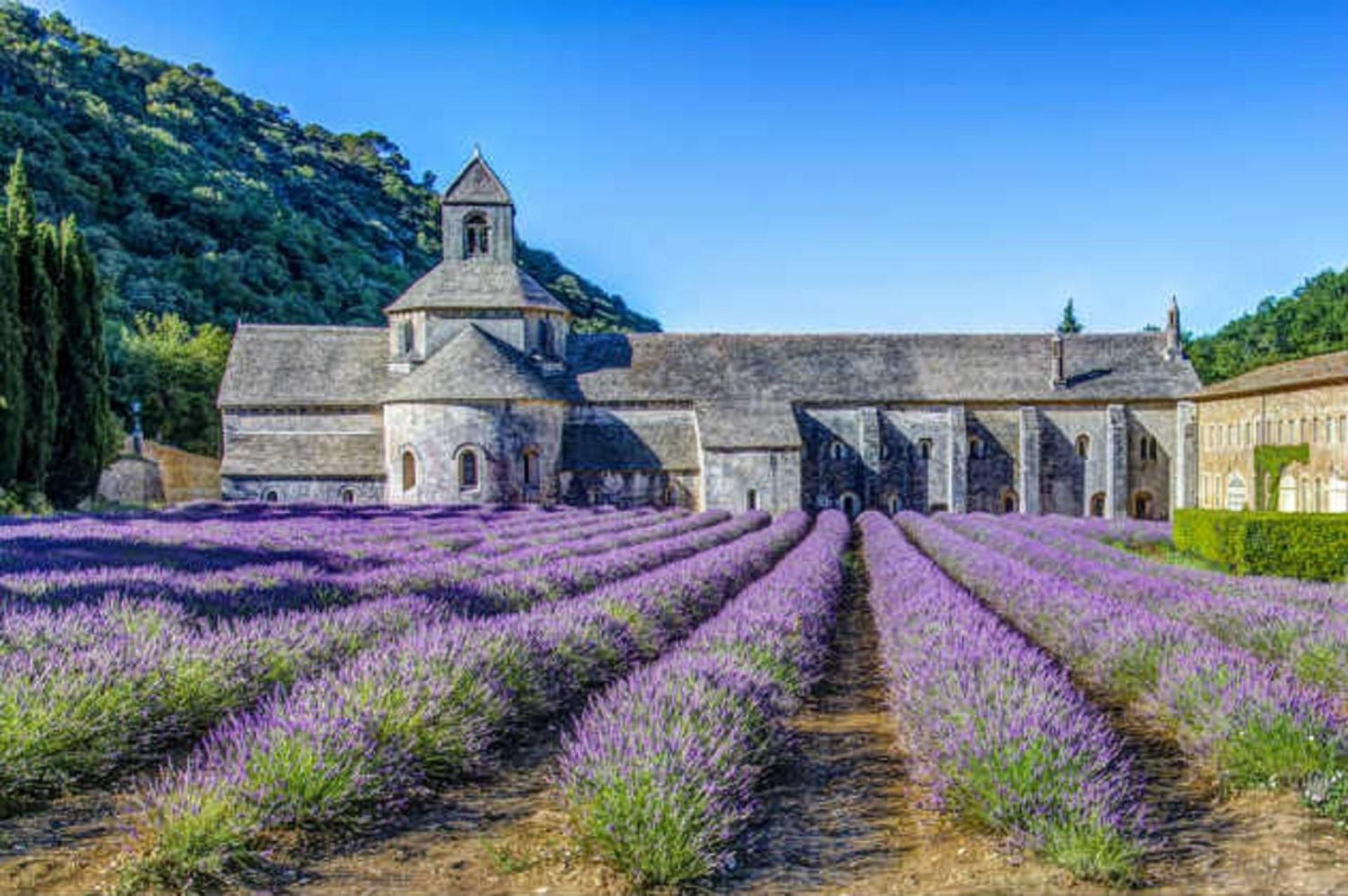La Bastide - Le Grenache - Le Syrah Au Domaine Chateau Henri Bonnaud Le Tholonet Exterior photo